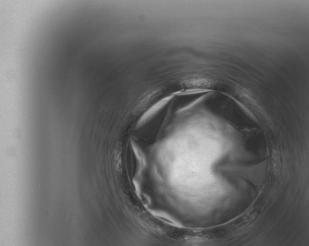 X0000080110259200612221812