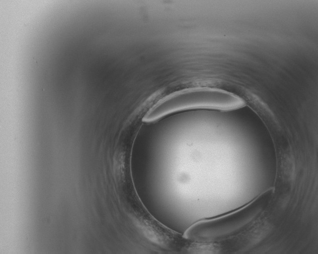 X0000080110260200612221812