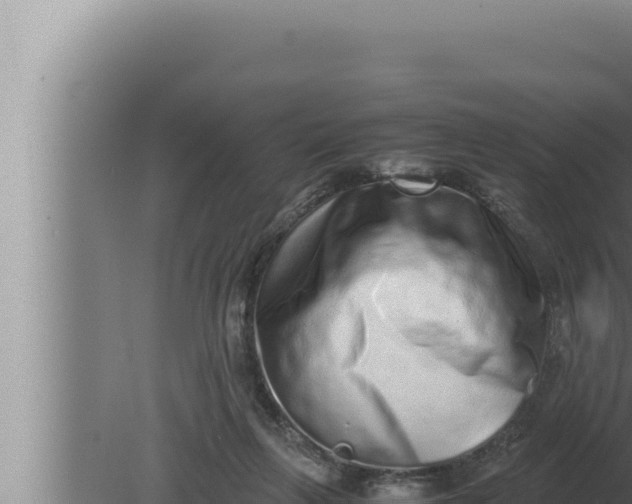 X0000080110263200612221812