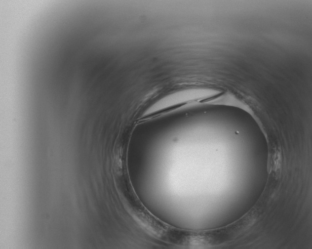 X0000080110264200612221812