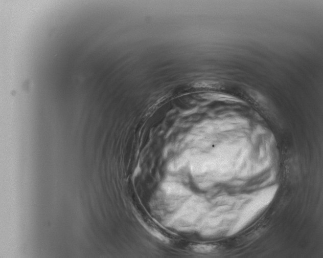 X0000080110265200612221812