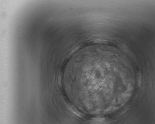 X0000080110266200612221812