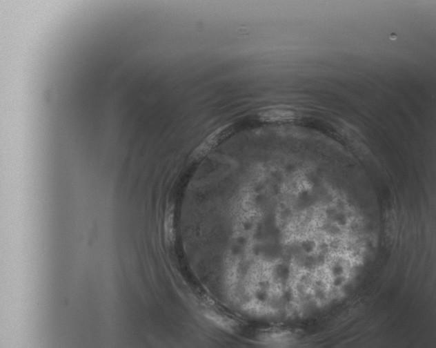 X0000080110267200612221812