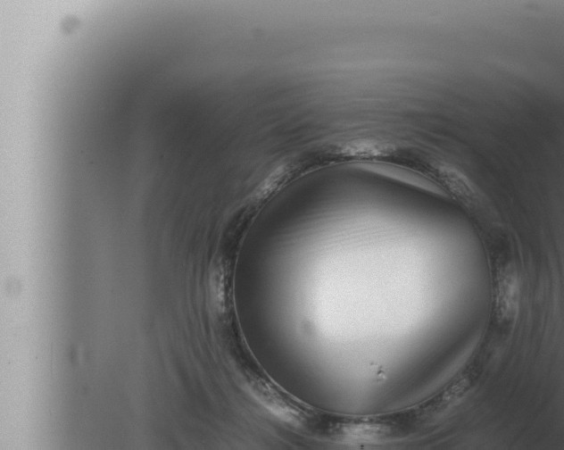 X0000080110268200612221812