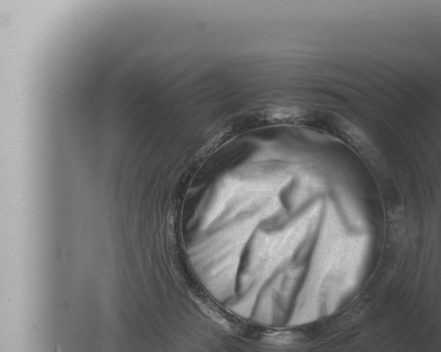 X0000080110269200612221812