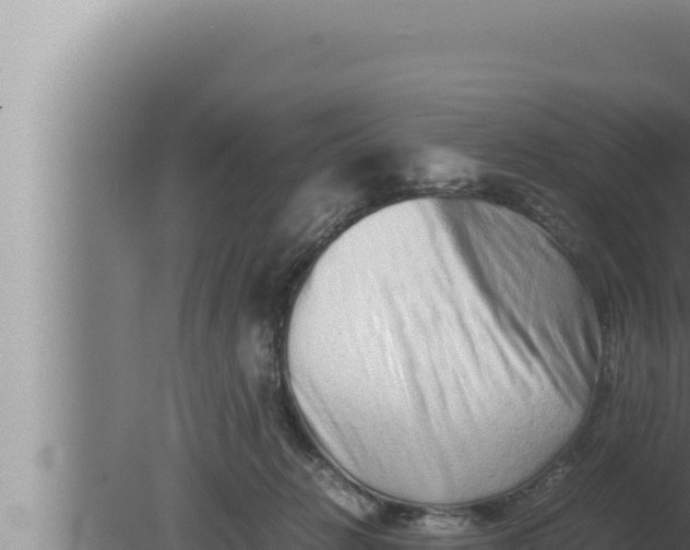 X0000080110270200612221812