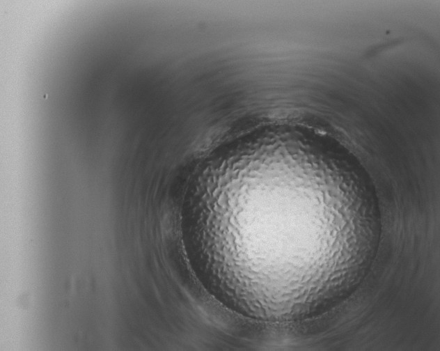 X0000080110272200612221812