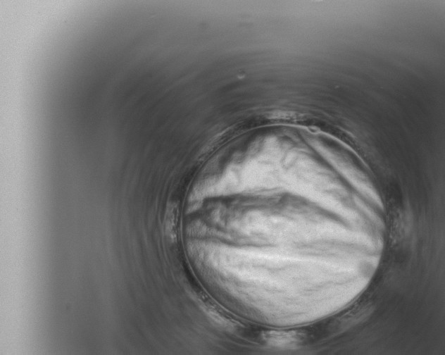 X0000080110273200612221812