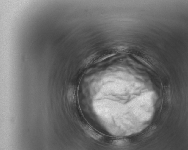 X0000080110274200612221812