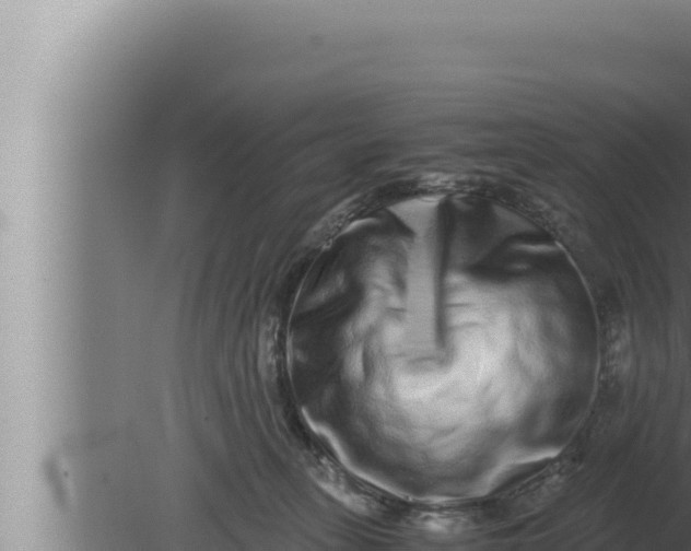 X0000080110275200612221812