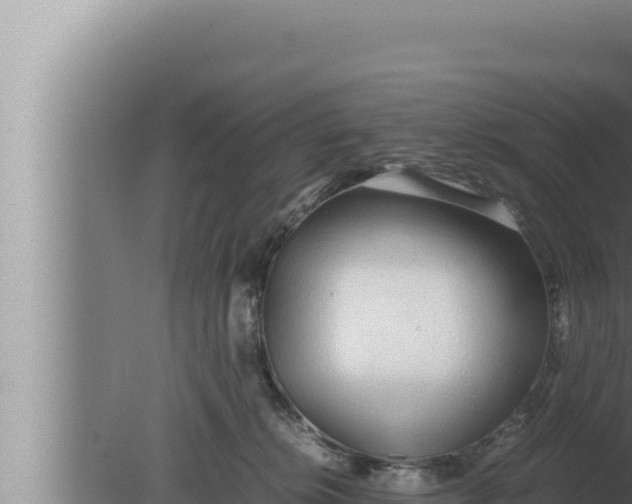 X0000080110276200612221812