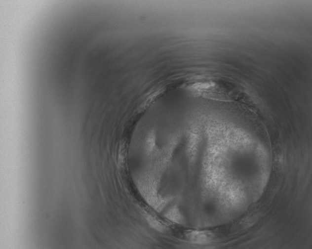 X0000080110277200612221812