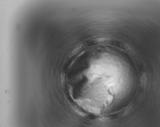 X0000080110278200612221812