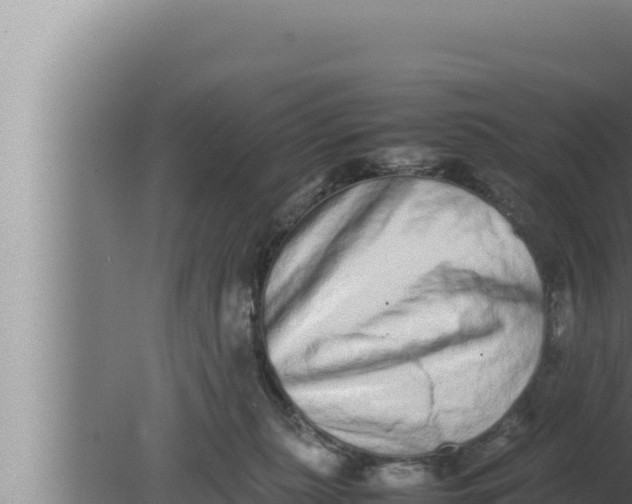 X0000080110279200612221812