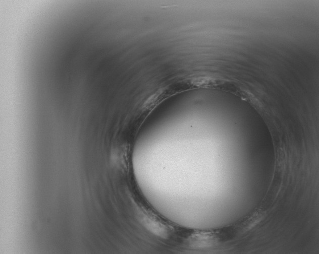 X0000080110280200612221812