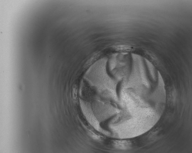 X0000080110281200612221812