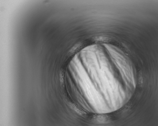 X0000080110282200612221812