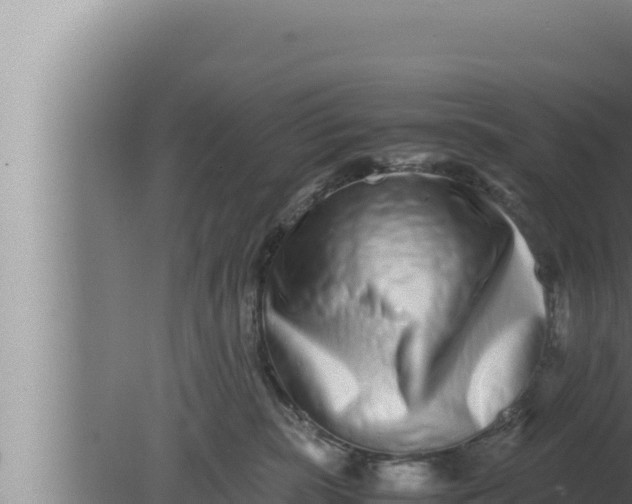 X0000080110283200612221812