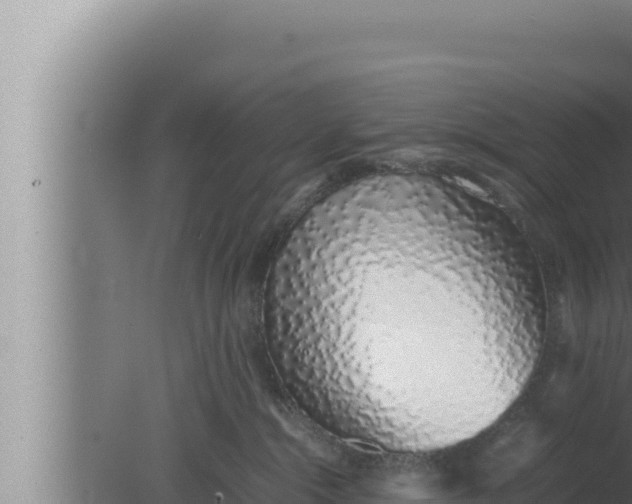 X0000080110284200612221812