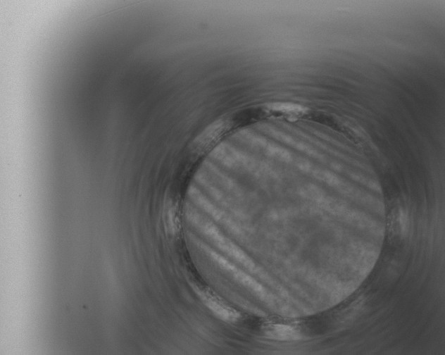 X0000080110285200612221813