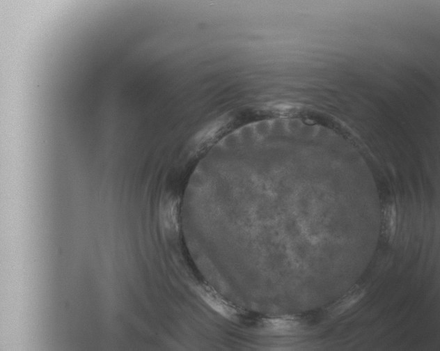 X0000080110286200612221813