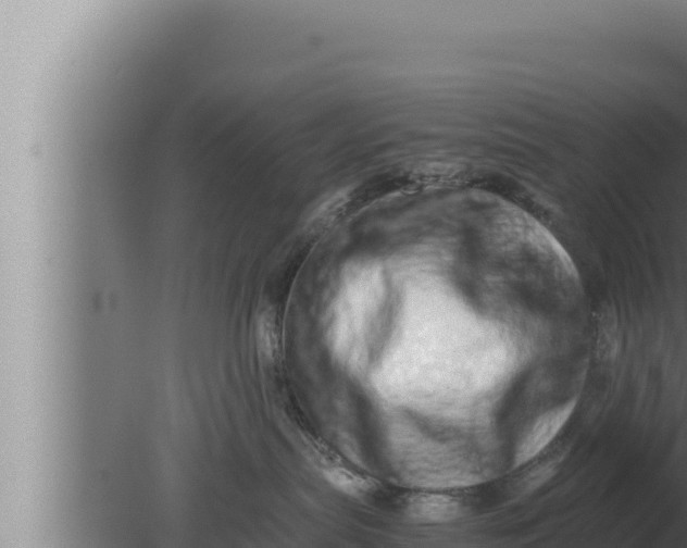 X0000080110287200612221813