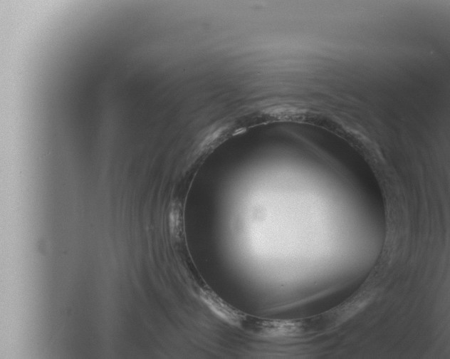 X0000080110288200612221813