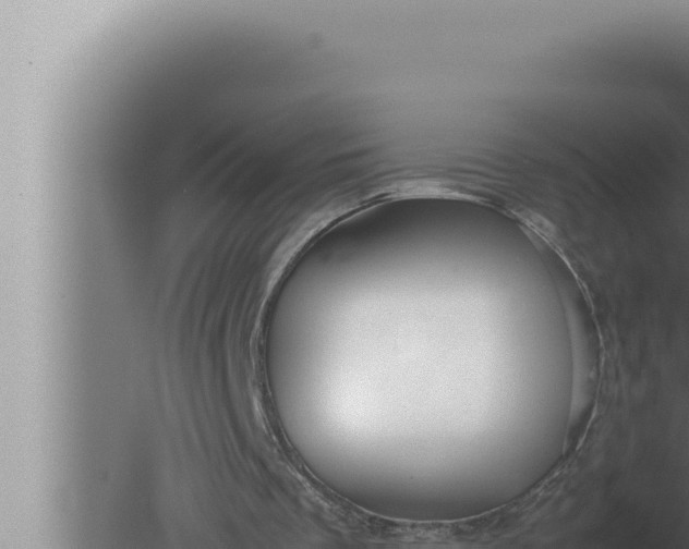 X0000080110289200612221812