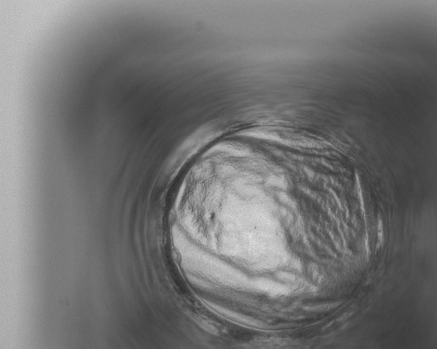 X0000080110291200612221812