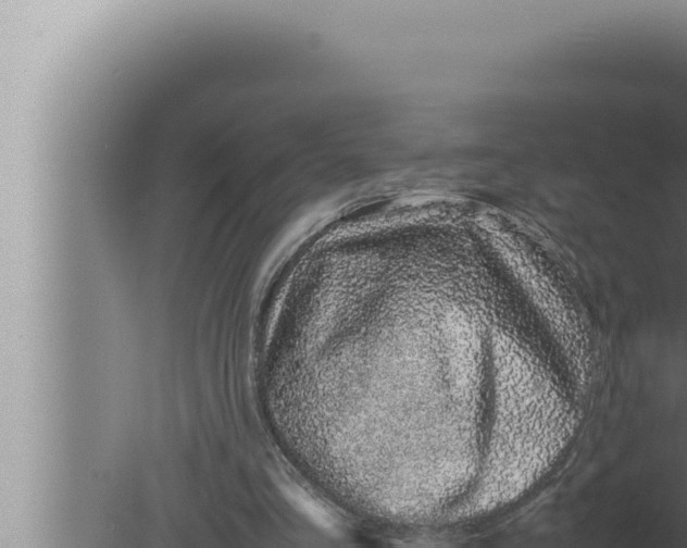 X0000080110293200612221812