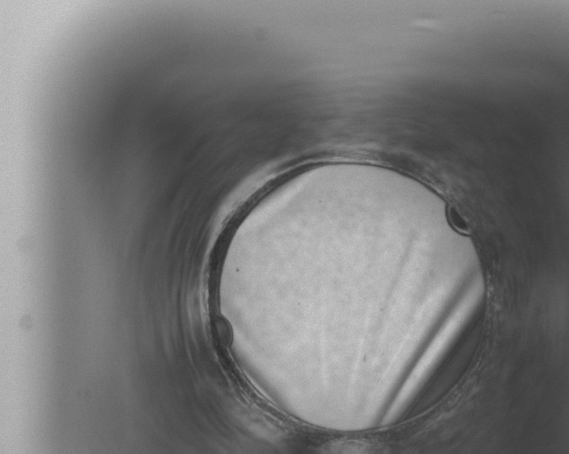 X0000080110294200612221812