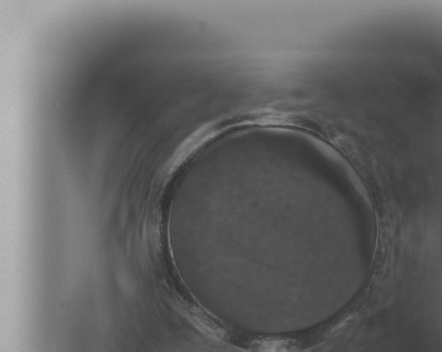 X0000080110295200612221812