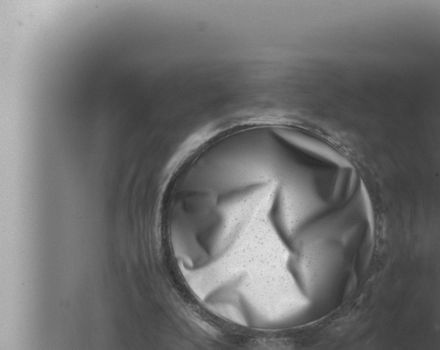 X0000080110296200612221812