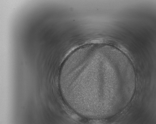 X0000080110297200612221812