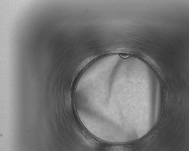 X0000080110298200612221812