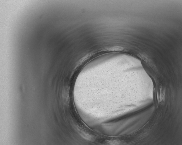 X0000080110300200612221812