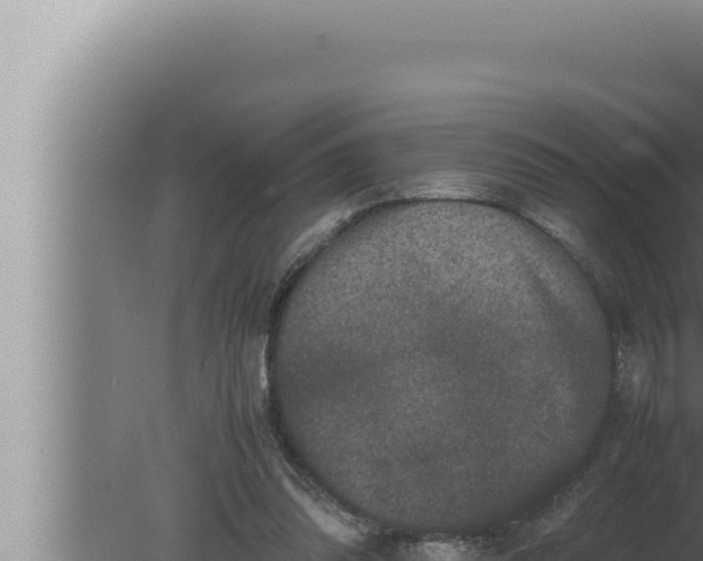 X0000080110302200612221812