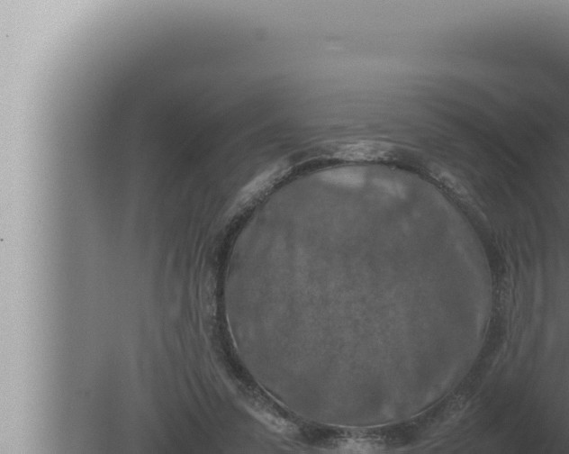 X0000080110303200612221812