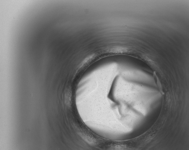 X0000080110304200612221811