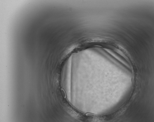 X0000080110305200612221811