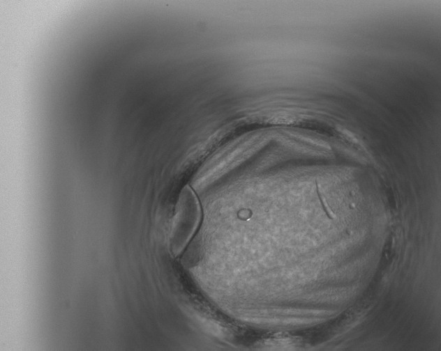 X0000080110307200612221811