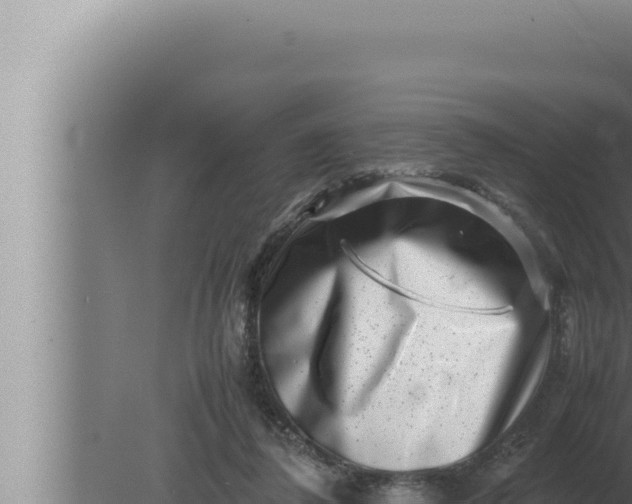 X0000080110308200612221811