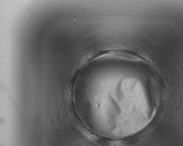 X0000080110309200612221811