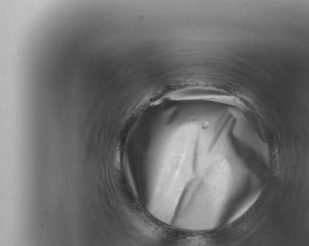 X0000080110310200612221811