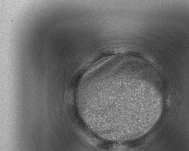 X0000080110311200612221811