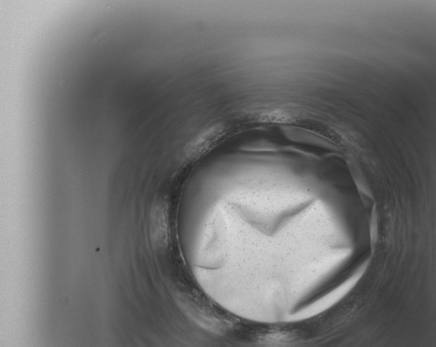 X0000080110312200612221811