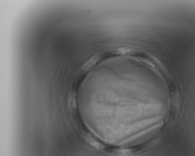 X0000080110313200612221811