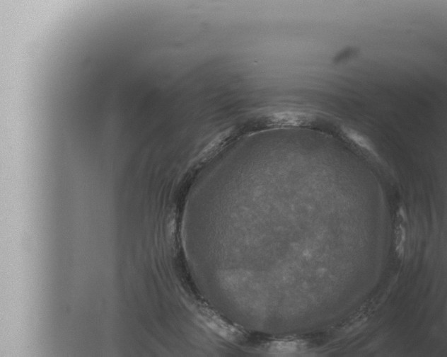 X0000080110314200612221811