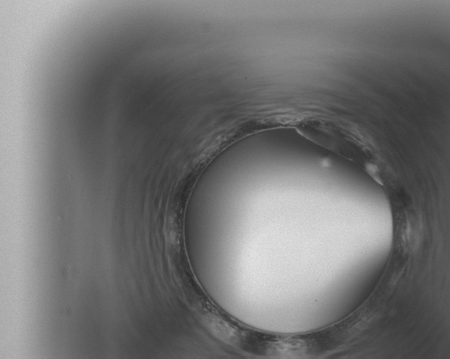 X0000080110317200612221811