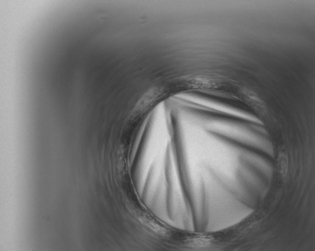 X0000080110318200612221811